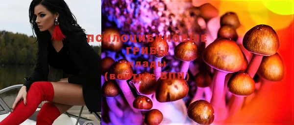 прущие крисы Аркадак