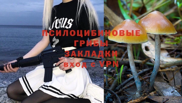 гидропоника Арсеньев