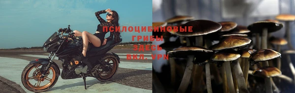 гидропоника Арсеньев