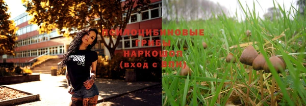 прущие крисы Аркадак
