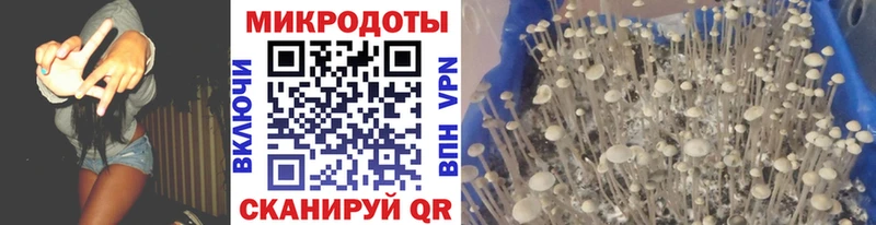 Галлюциногенные грибы GOLDEN TEACHER  Купить закладки  Тайга 